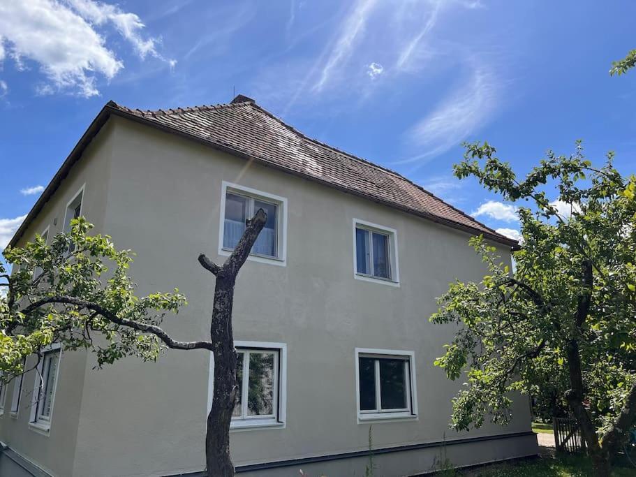 Wunderschoene Wohnung In Perfekter Lage ヒルポルトシュタイン エクステリア 写真