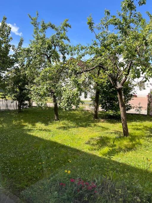Wunderschoene Wohnung In Perfekter Lage ヒルポルトシュタイン エクステリア 写真